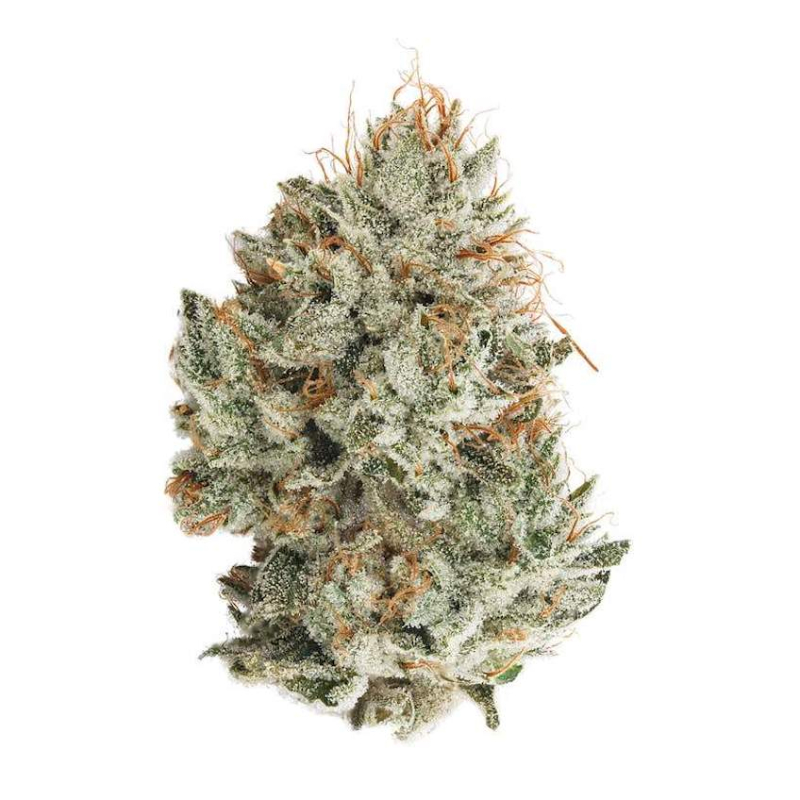 ▷ Crazy Glue Strain Hybrid AAA | Best Selling Products - Order Today!