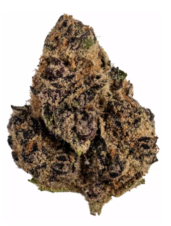 tropic truffle strain