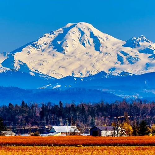 Marijuana Dispensary in Abbotsford, BC