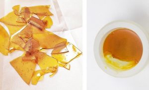 What is Marijuana Shatter?