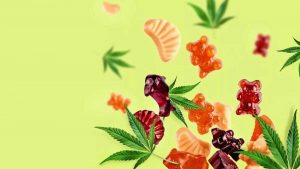 What Are CBD Edibles? Things You Need to Know