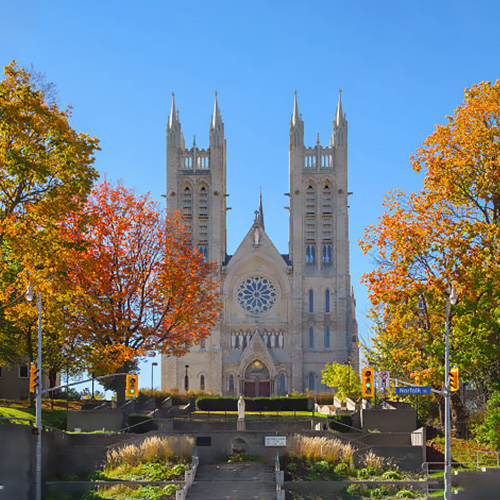 Marijuana Dispensary In Guelph