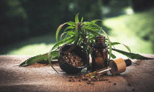 Does CBD Oil Help with Sleeping? – Know the Facts