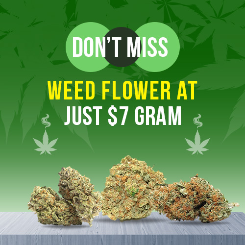 $7-9 GRAMS FLOWERS (AAA)