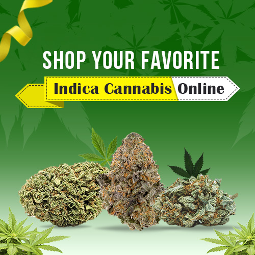 Indica