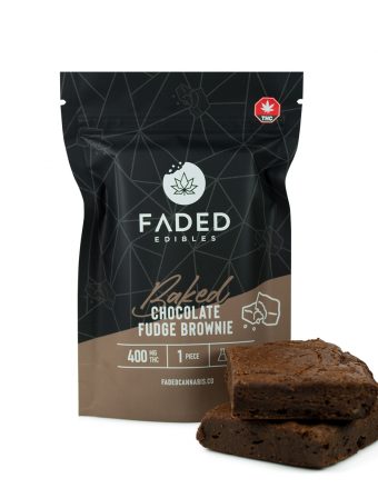 faded chocolate fudge brownie