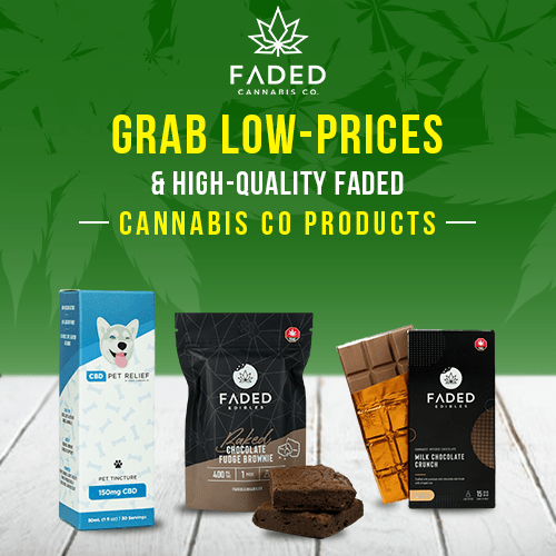 Faded Cannabis Co. THC Cookies, Buy Edibles Online