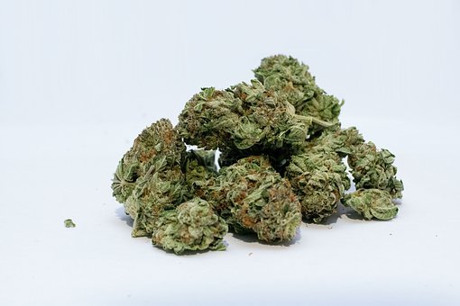Best Mail Order Marijuana in Canada