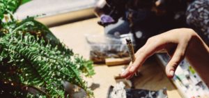 How Long Do the Effects of Cannabis Last?