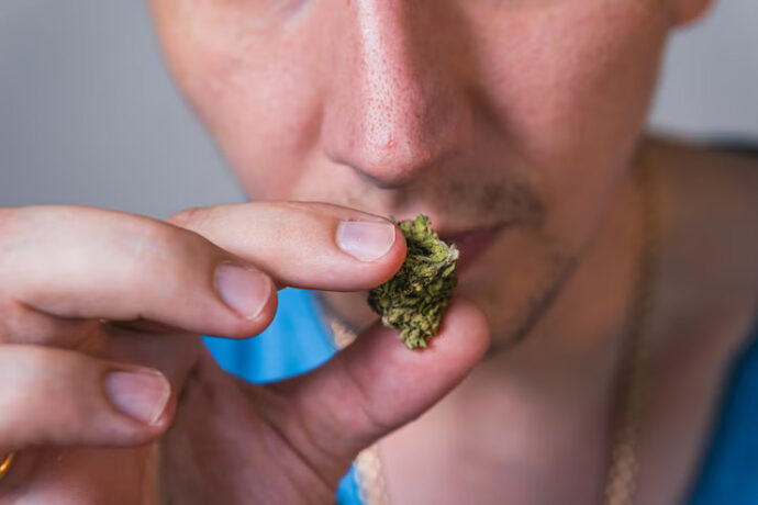 adult-man-holding-hand-medical-marijuana-bud-and-taking-smell