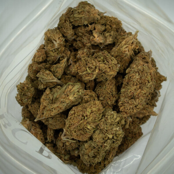 Buy 9lb Hammer Strain