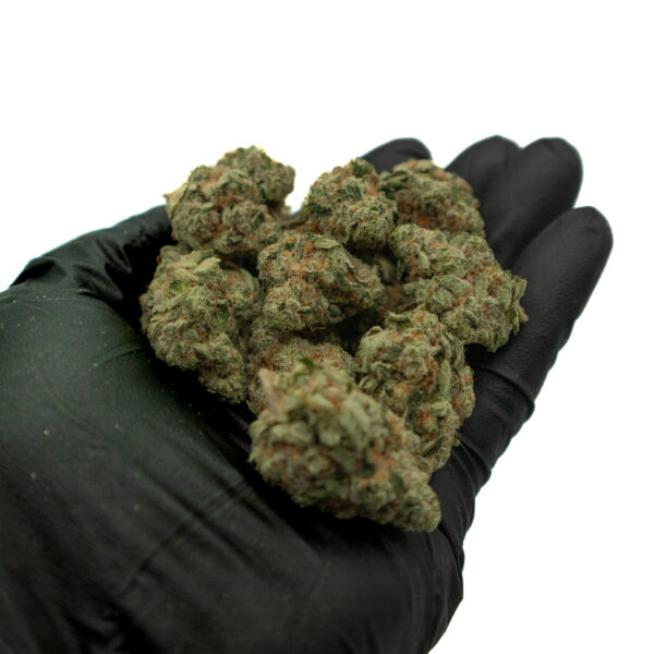 buy platinum kush breath