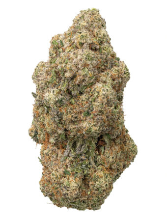 HAWAII MAUI WOWIE - Sativa (AAA)