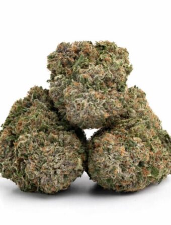 NORTHERN LIGHTS STRAIN - Indica (AAAA)