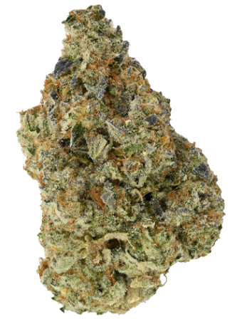 PINK WAGYU - Indica (AAAA+)